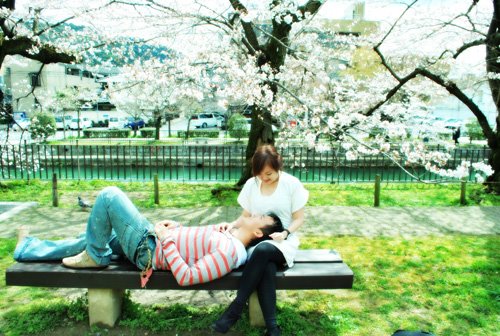 [bench+romance.jpg]