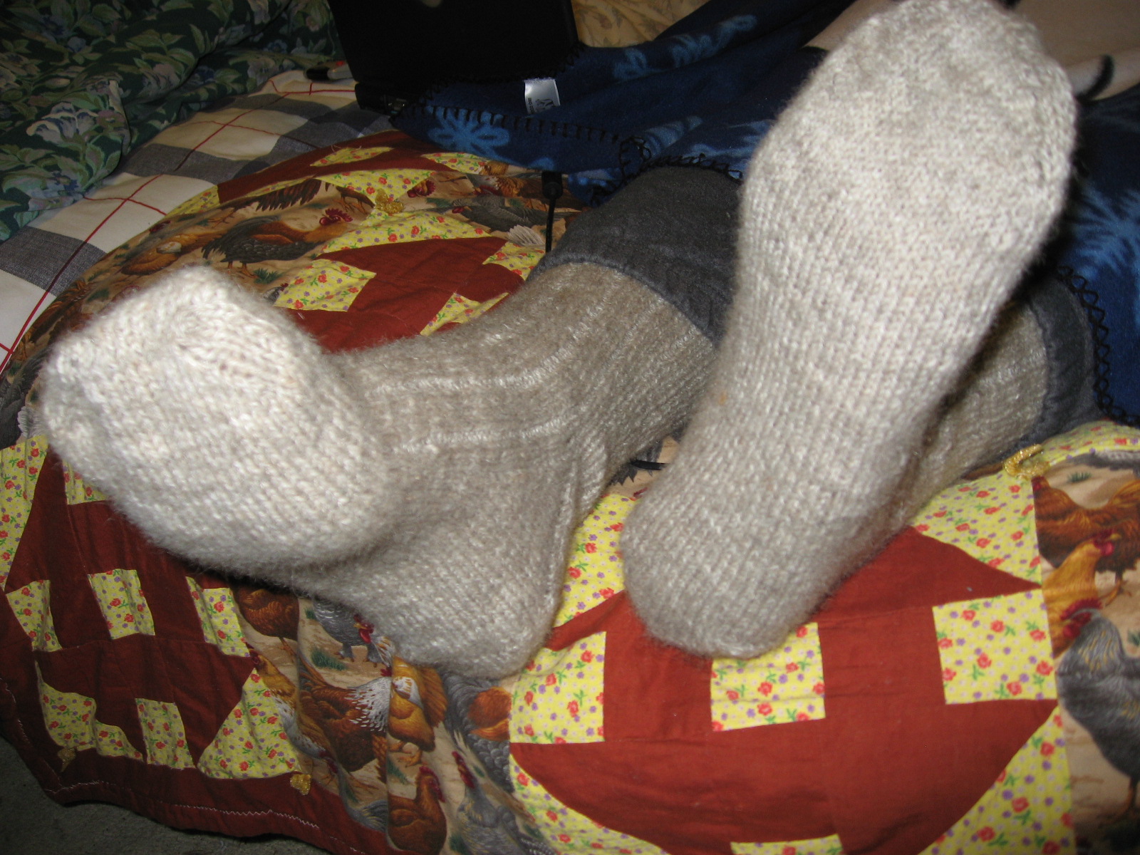 [possum+socks+003.jpg]