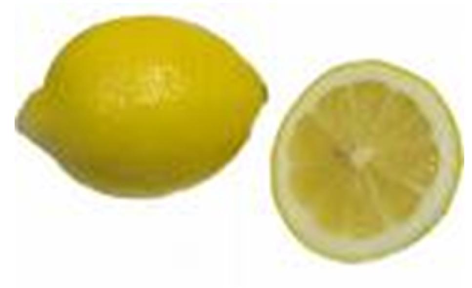 [lemon.JPG]