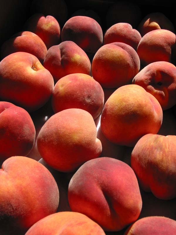 [peaches+2.jpg]