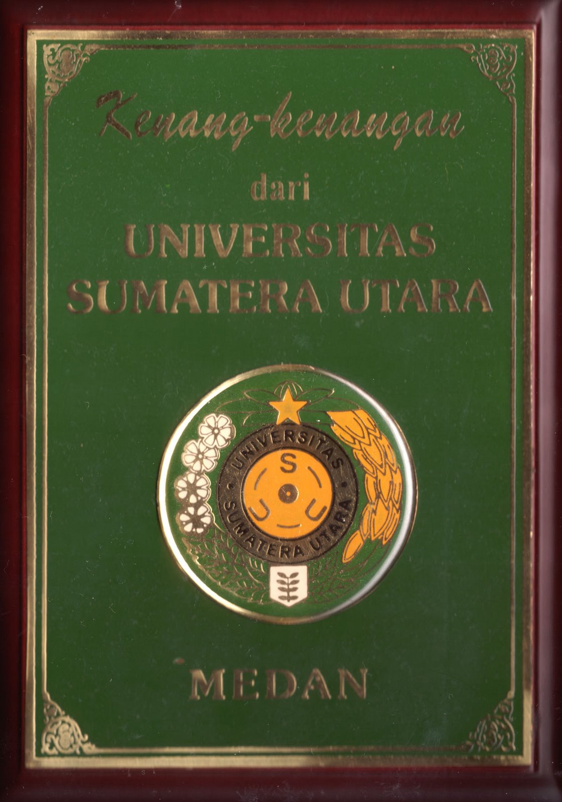 SILATURAHIM USU - MADINAH SYARIAH