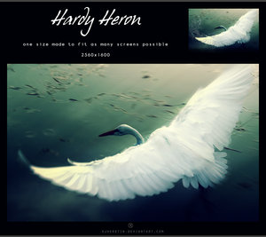 [Hardy_Heron_by_kjherstin.jpg]