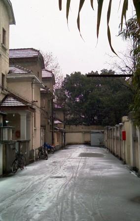 [Snowing-Street.jpg]