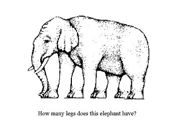 [elephant-legs.jpg]