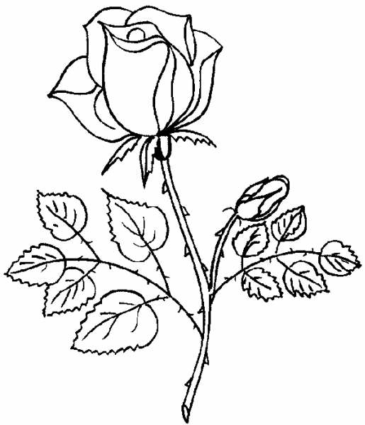[dibujos-flores-rosas-788470.gif]