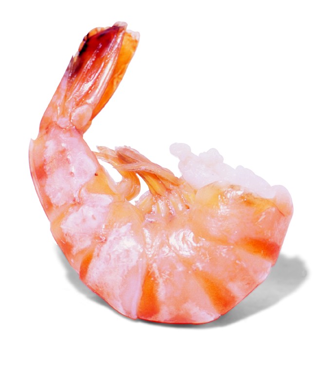 [Shrimp-picture.jpeg]