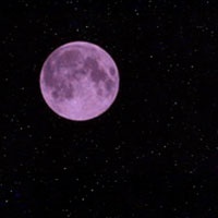 [pink_moon.jpg]