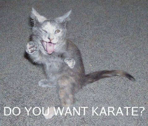 [karate]