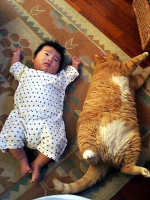 [baby-and-cat.jpg]