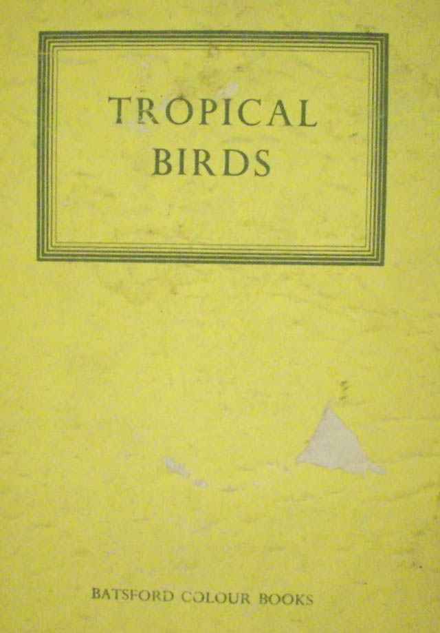 [tropicalbirds.jpg]
