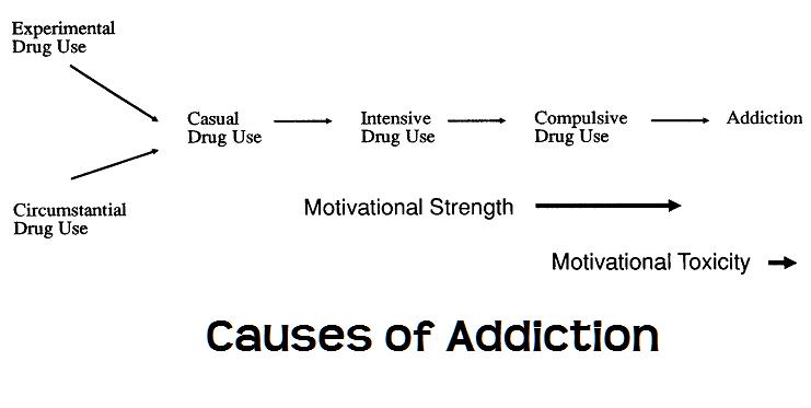 [Causes+of+Addiction.JPG]