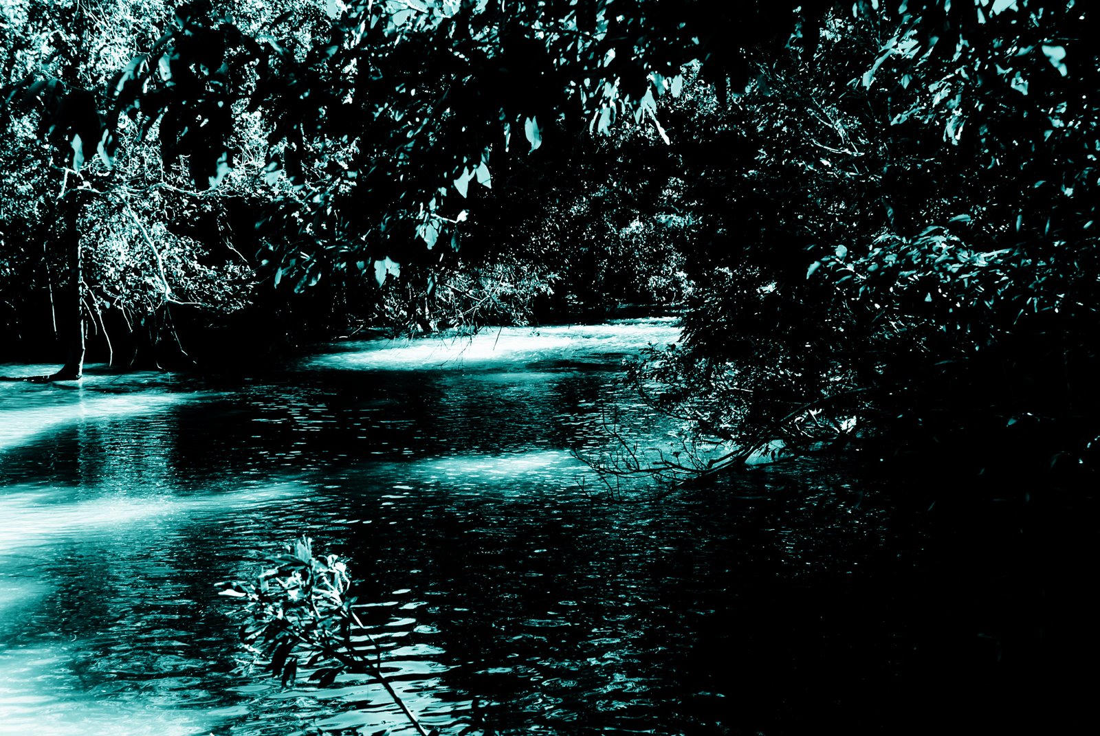 [creek-contrasty.jpg]