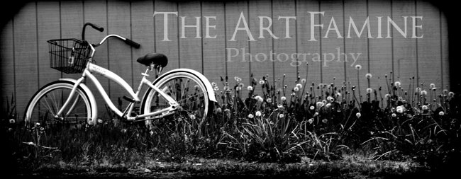 The Art Famine - Photography