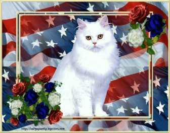 [AMERICAN_FLAG_KITTY.JPG]