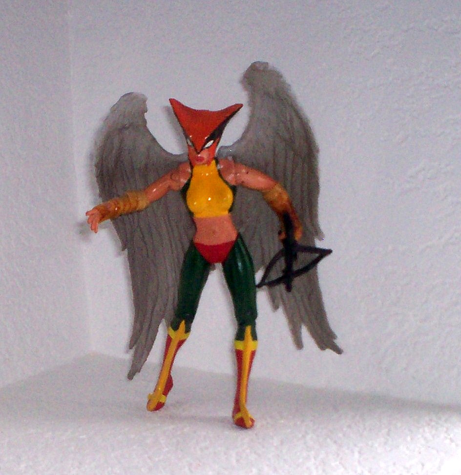 [Hawkgirl+custom.jpg]