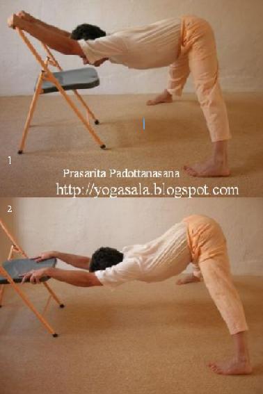 [a+01+Yoga+para+meditadores+Prasarita+Padottanasana.jpg]