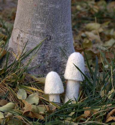 [mushroom4.jpg]