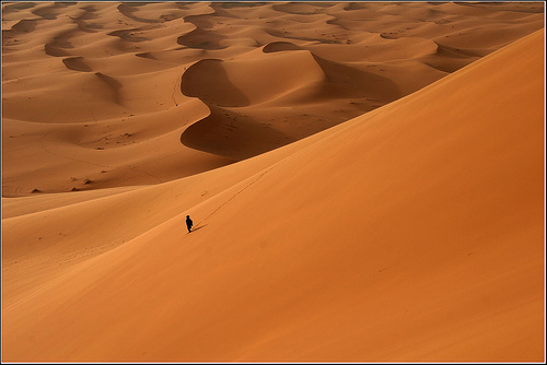 [Alone+in+the+desert.jpg]