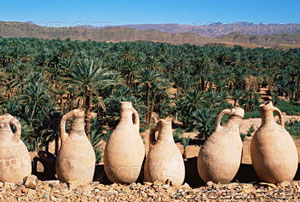 [water-jugs-and-oasis-in-the-draa-valley-~-is817-184.jpg]