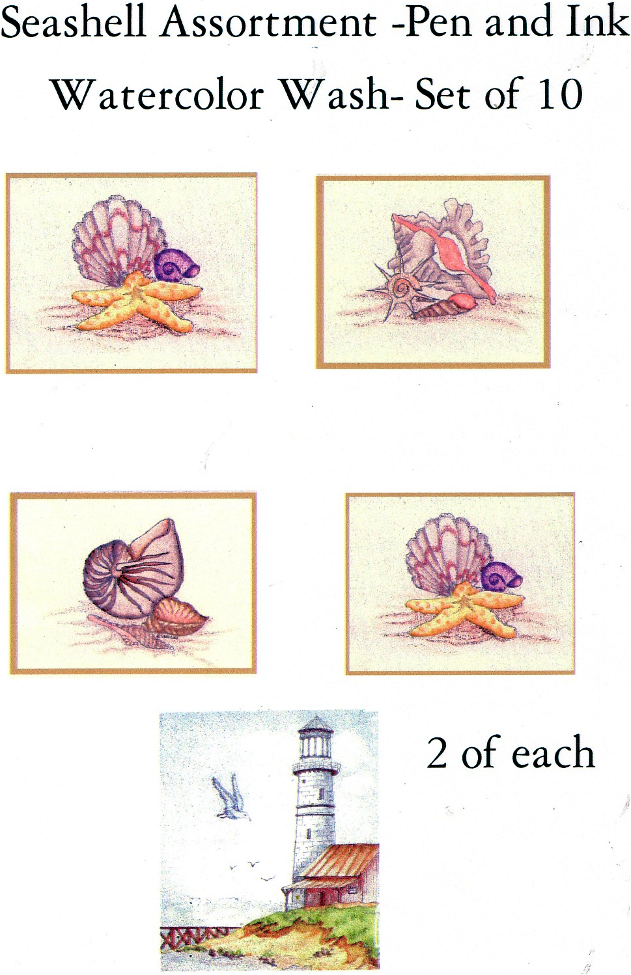 [SeaShell+Note+Card+Assortment.png]