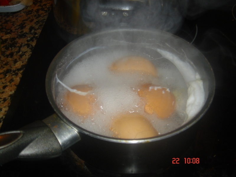 [cocer+huevos.JPG]