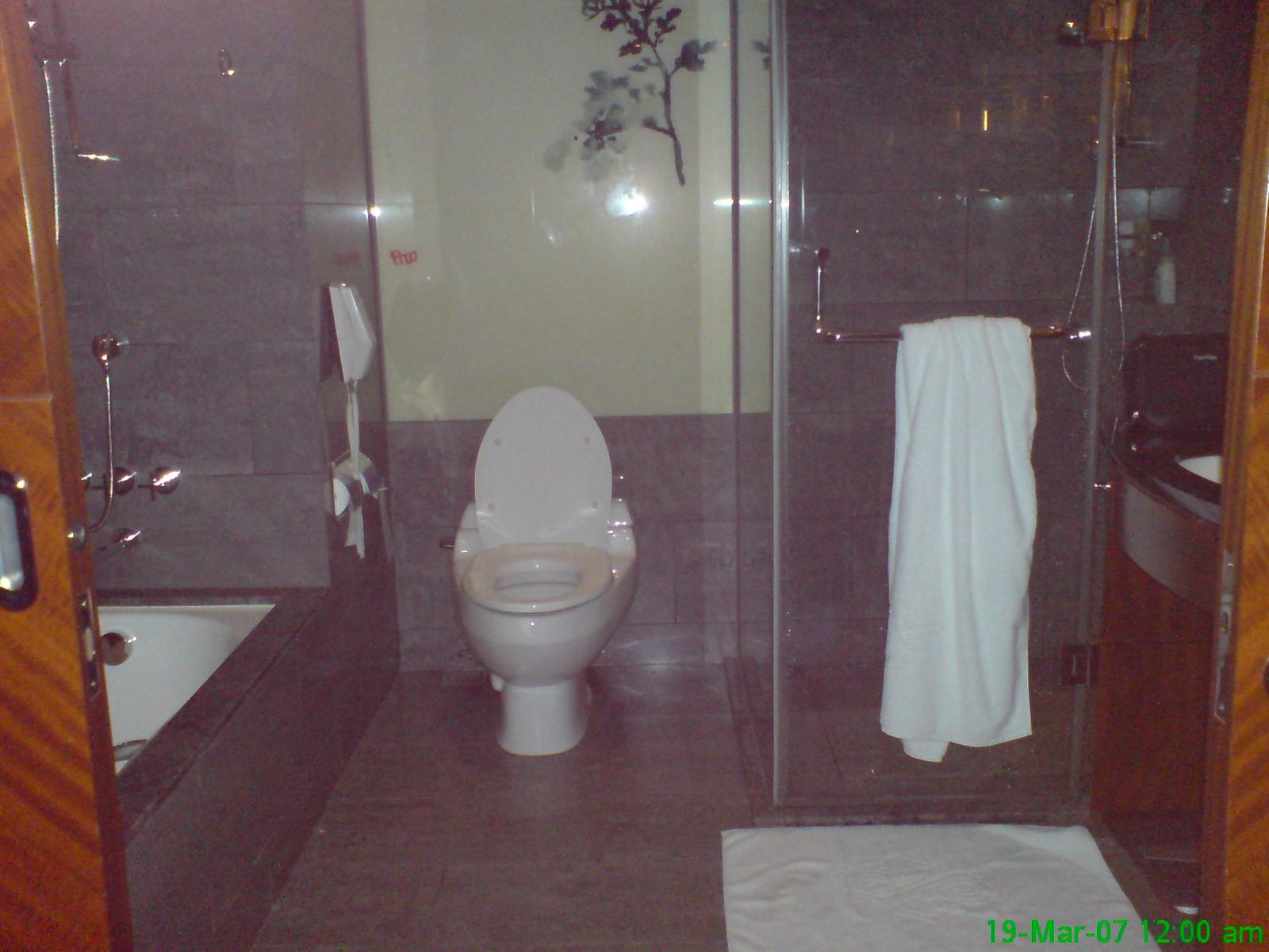 [hotel+toilet.JPG]