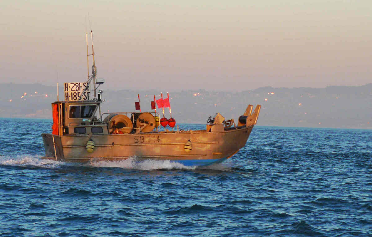 [15+herring+boat.jpg]