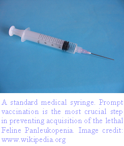 [Medical+Syringe.PNG]