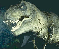 [jurassic_park_tyranosaurus_rex.jpg]