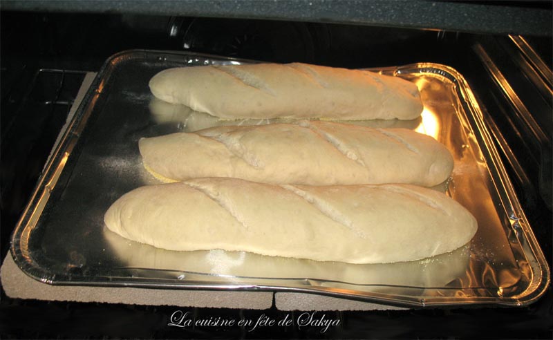 [french+bread+oven.jpg]