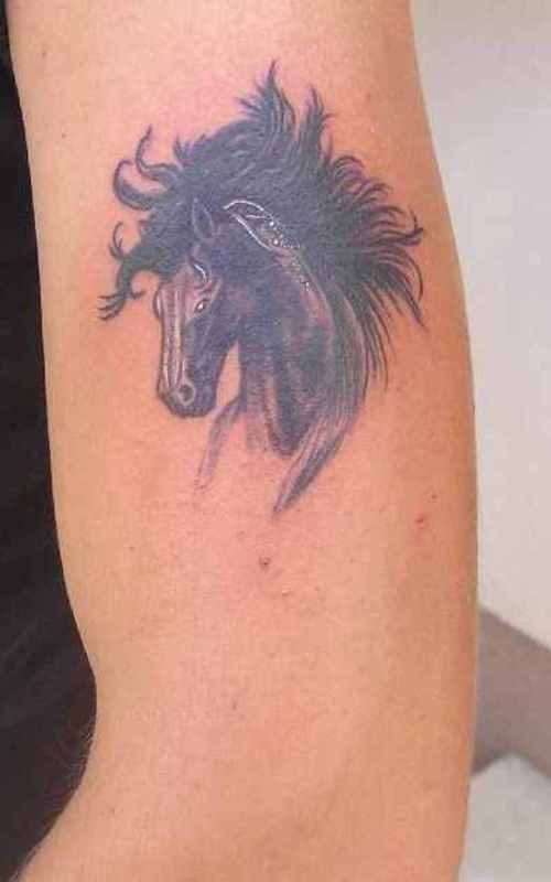 [Tattoo_Horse.jpg]