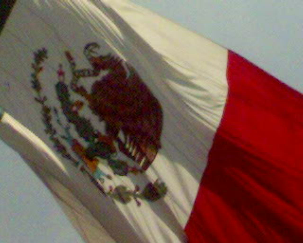 [Bandera+Mexicana+3.JPG]