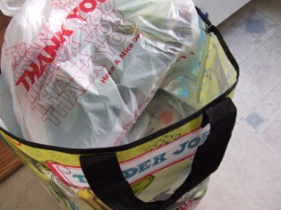 [reusable+bag.JPG]