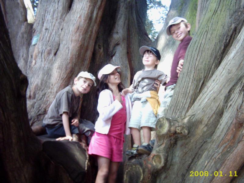 Four Kiwi Grandkids In A Tree