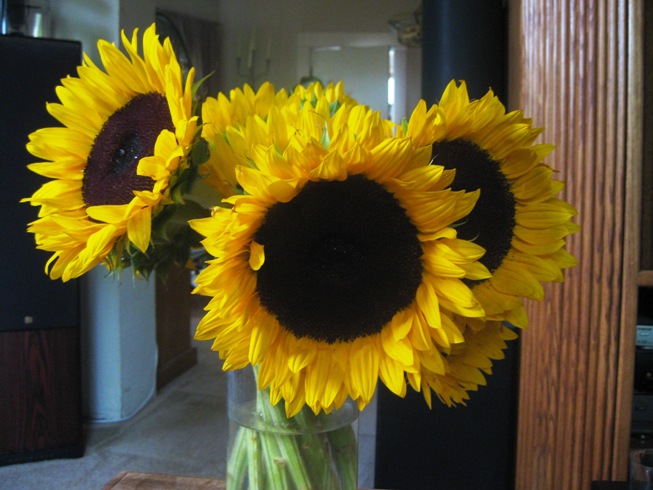 [A-Sunflowers.jpg]