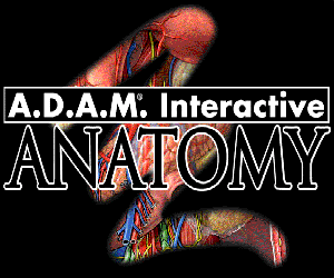 [Adam+Interactive+Anatomy.png]