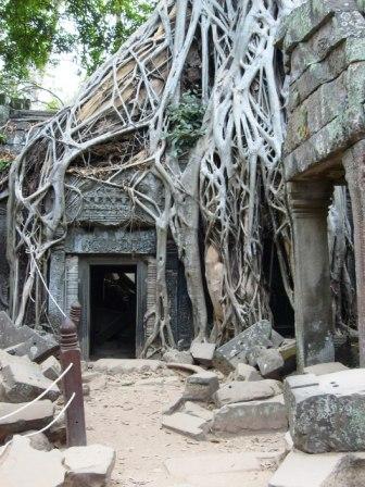 [Cambodia+-+Ta+Phrom+Doorway+with+tree2.JPG]