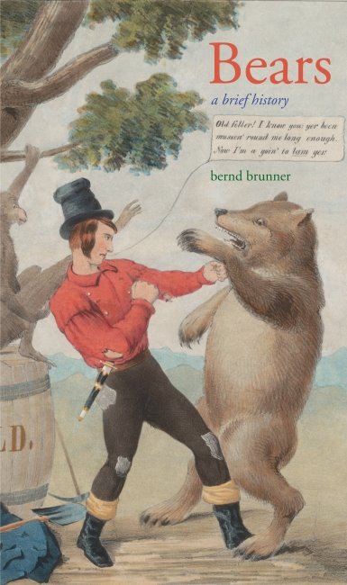 [bears-a-brief-history.jpg]