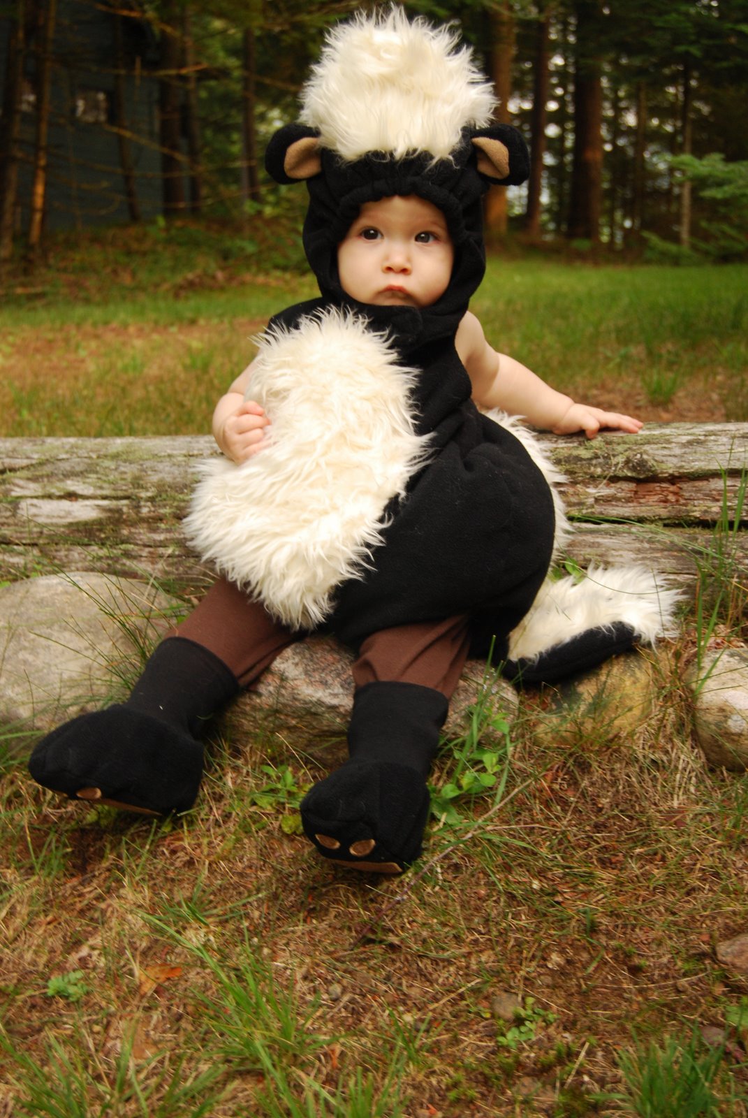 baby skunk costumes