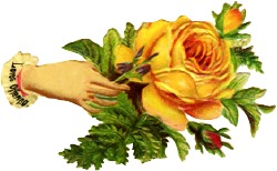 [hand+yellow+rose.jpg]