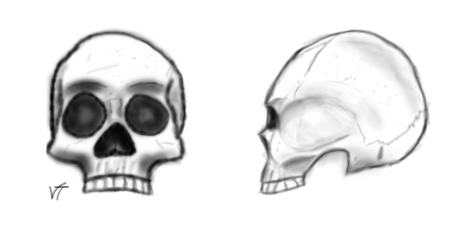 [Skull+Tutorial1.jpg]