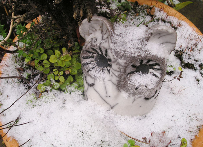 [owl+in+snow.jpg]
