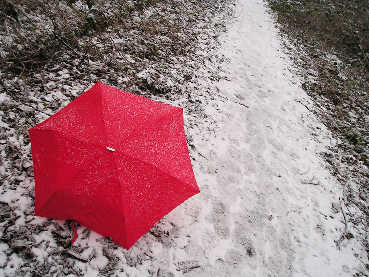 [umbrella+snow+1.jpg]