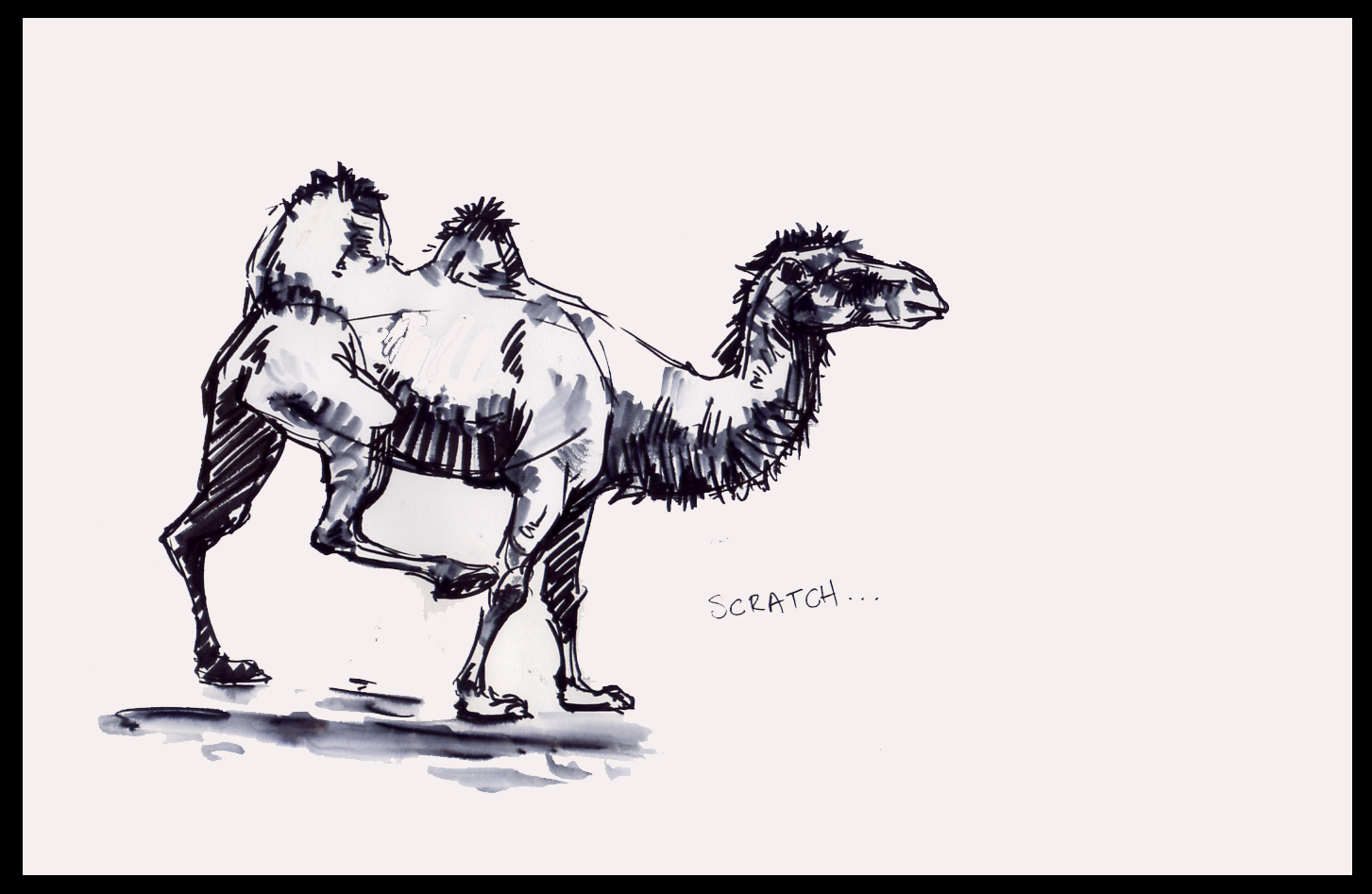 [camel1.jpg]
