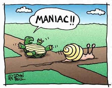 [tortoise+-+snail+roadrage.jpg]