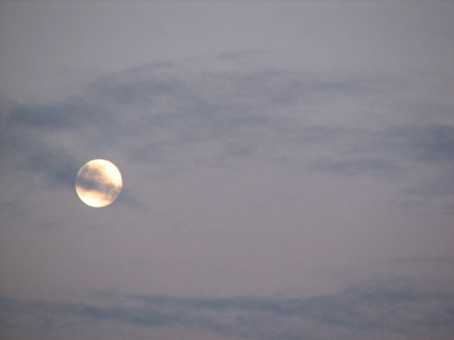[morning+moon.jpg]