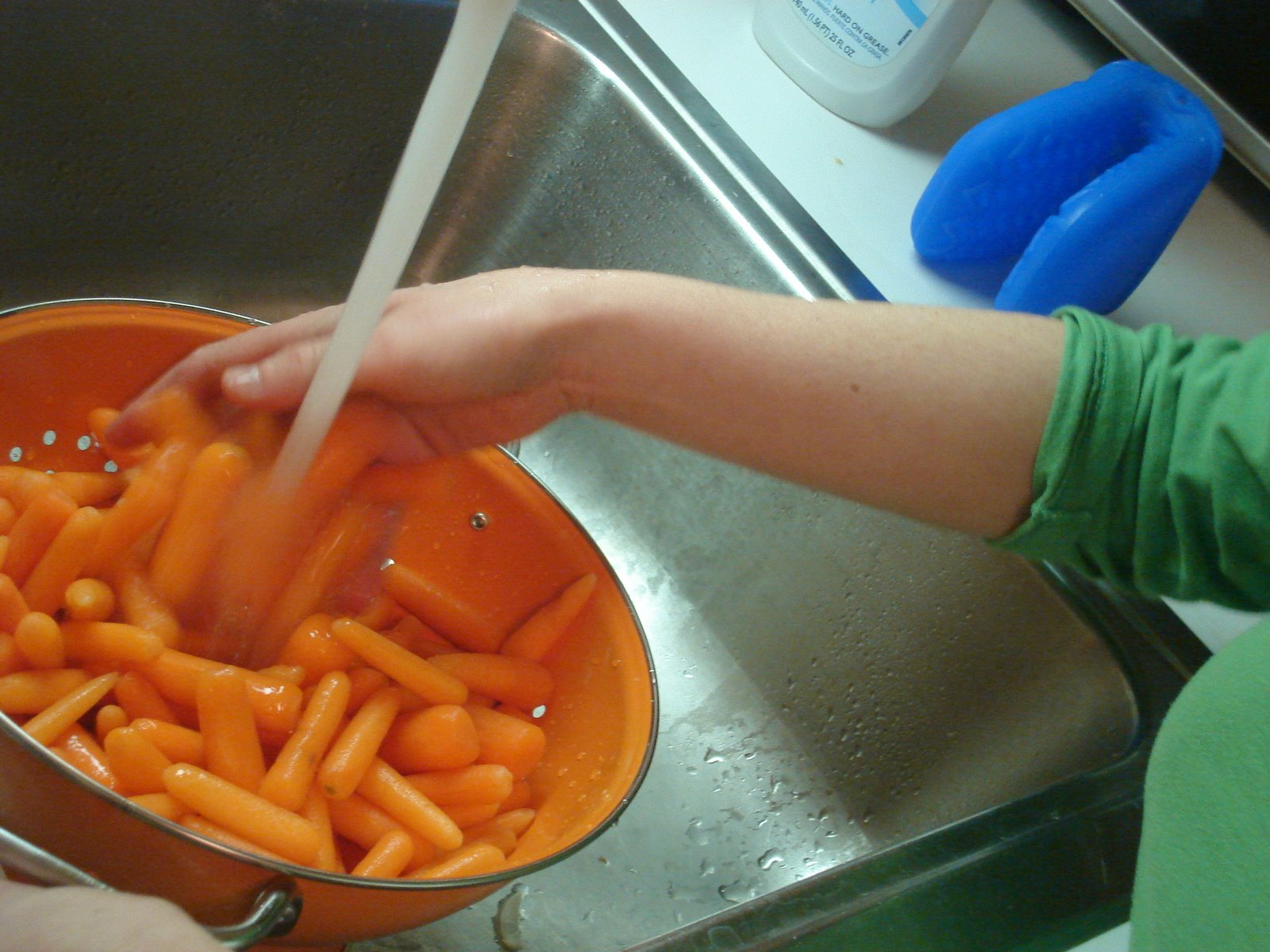 [Washing+Carrots.JPG]