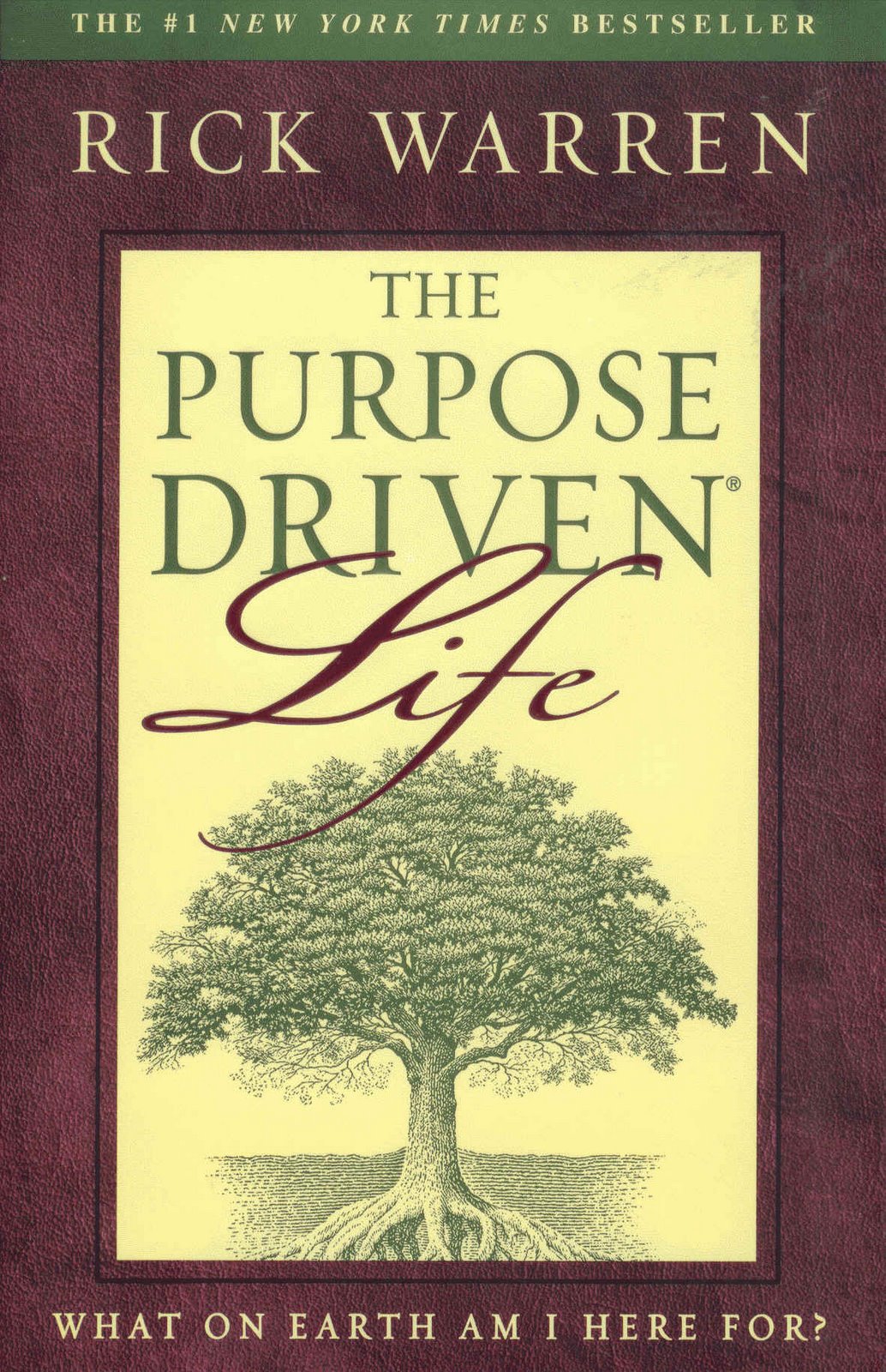 [purpose driven life.jpg]