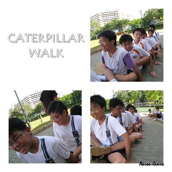 [caterpillar+walk2.jpg]