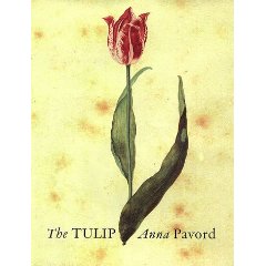 [tulip.jpg]